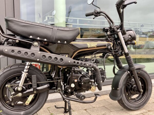 Bluroc Heritage 50 - Afbeelding 6