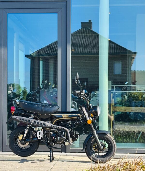 Occasie Bluroc Heritage 125cc - Afbeelding 3