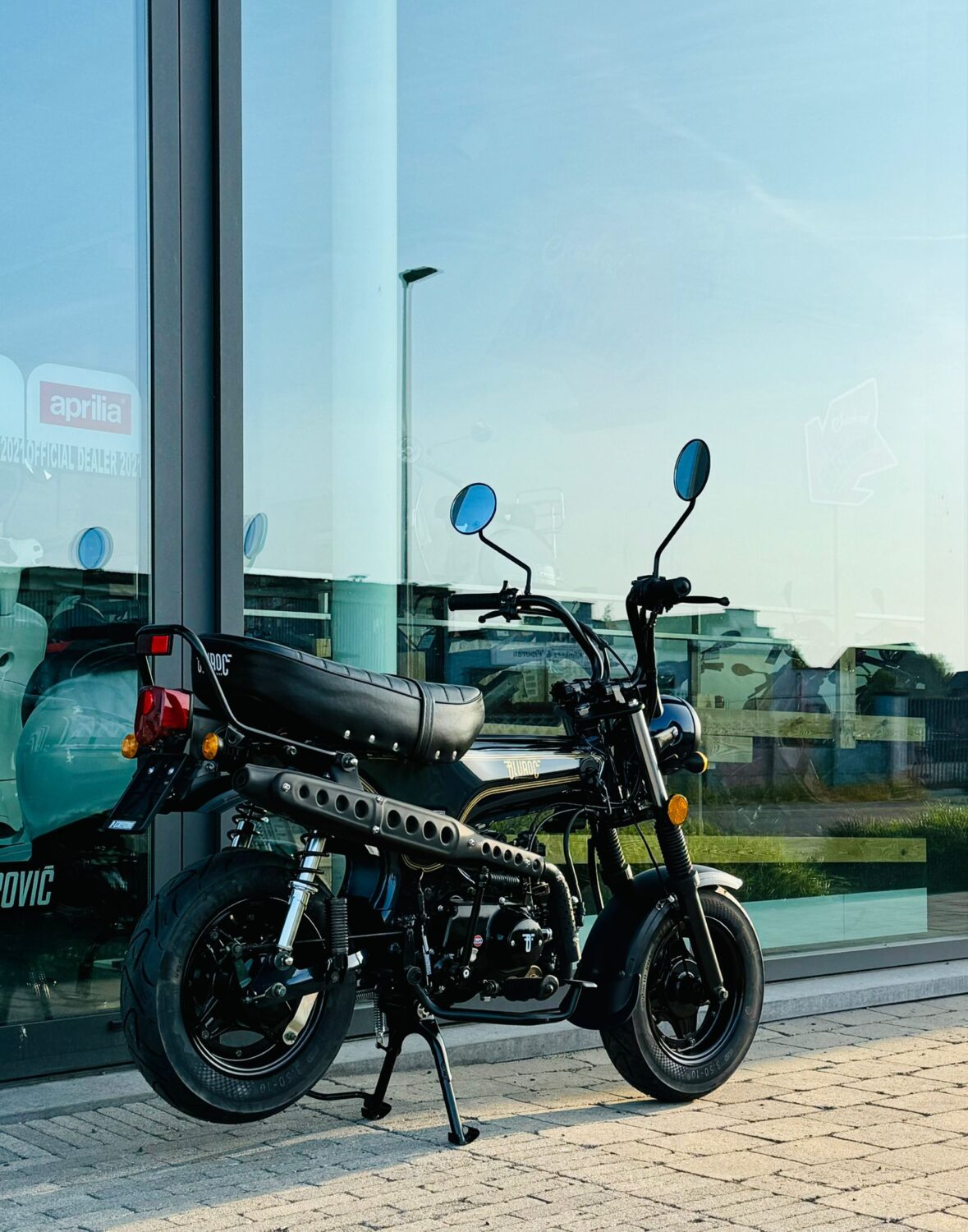 Bluroc Heritage Black Glossy 25km/u - Afbeelding 13